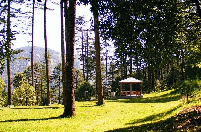 Photo of Mukteshwar, Uttarakhand, India by shivuduuuu☮☮