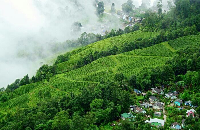 Photo of Mahabaleshwar, Maharashtra, India by shivuduuuu☮☮