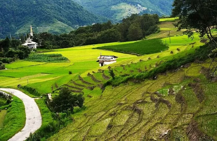 Photo of Darjeeling, West Bengal, India by shivuduuuu☮☮