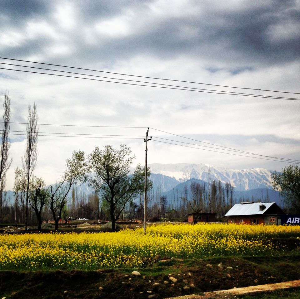 Photo of Heaven on earth 6/9 by Muhab Upade