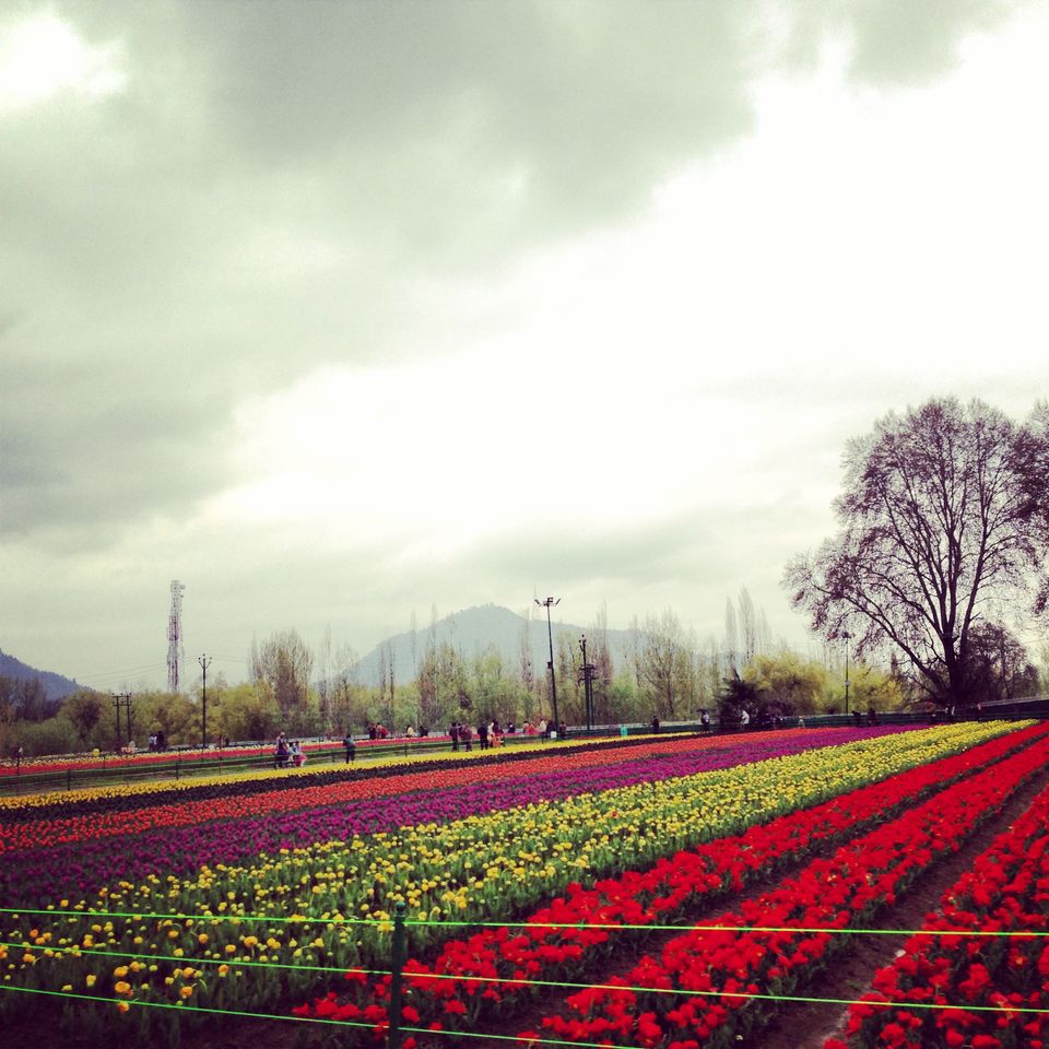 Photo of Heaven on earth 8/9 by Muhab Upade