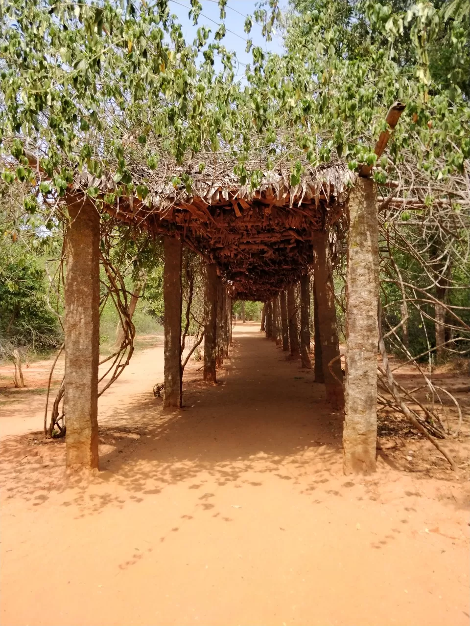 Photo of Paradise Beach, Pudukuppam, Puducherry, India by Jigyasa Arora