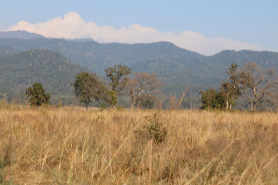 Photo of Dhikala Forest Rest House, Ramnagar, Uttarakhand, India by krishna kumar