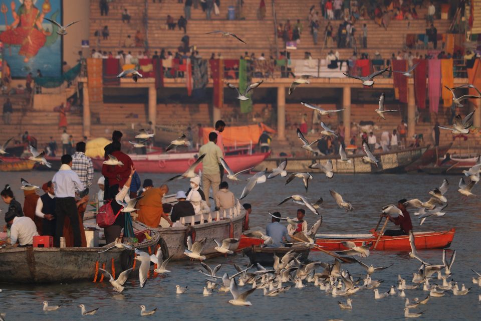 Photo of देव दीपावली- श्रद्धा व भक्ति से परिपूर्ण "बनारस" by krishna kumar
