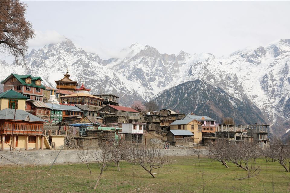Photo of Kalpa, Himachal Pradesh, India by krishna kumar