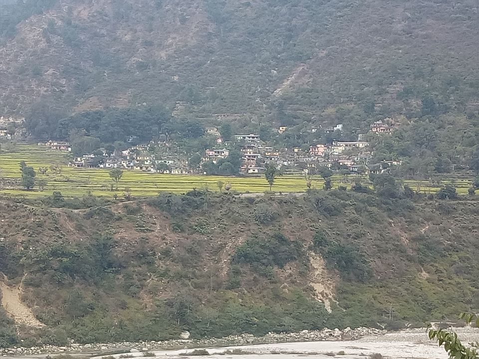 Photo of Auli, Uttarakhand, India by krishna kumar