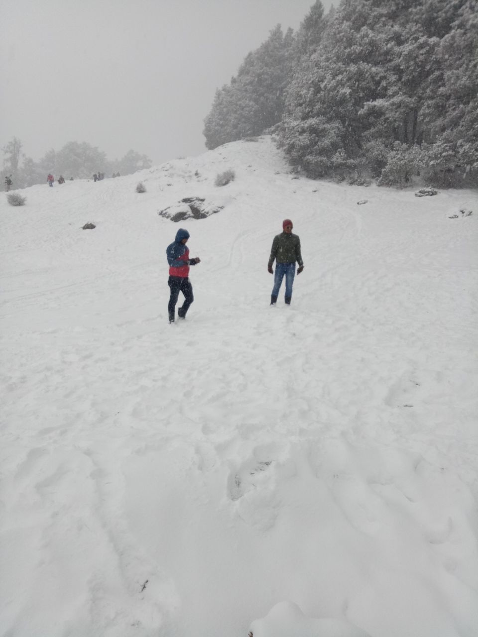 Photo of औली- एक सफर बर्फ से सजी दुनिया का by krishna kumar