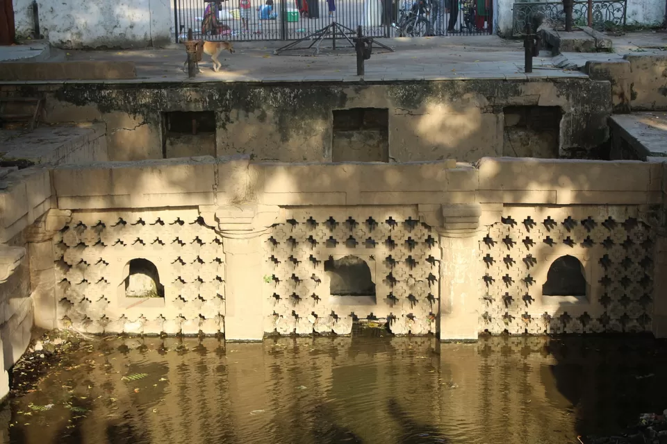 Photo of Kankaria Lake, Kankaria, Ahmedabad, Gujarat by PRECIOUS VIRAL