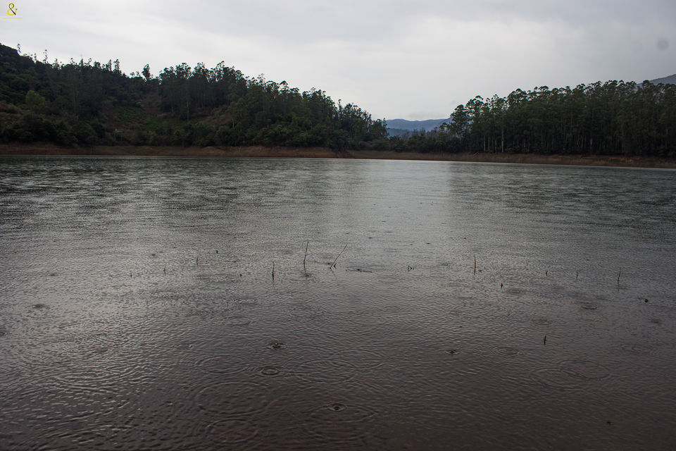 Photo of Emerald Lake, Tamil Nadu by Shruti Parthasarathy