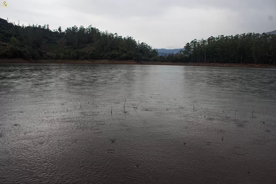 Photo of Emerald Lake, Tamil Nadu by Shruti Parthasarathy