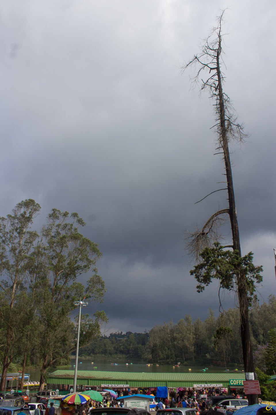 Photo of OOTY - A great getaway for the summer. 5/7 by Shruti Parthasarathy