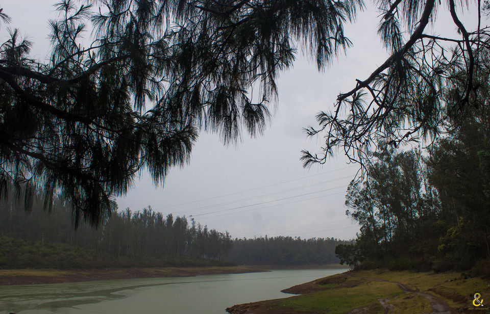 Photo of OOTY - A great getaway for the summer. 6/7 by Shruti Parthasarathy