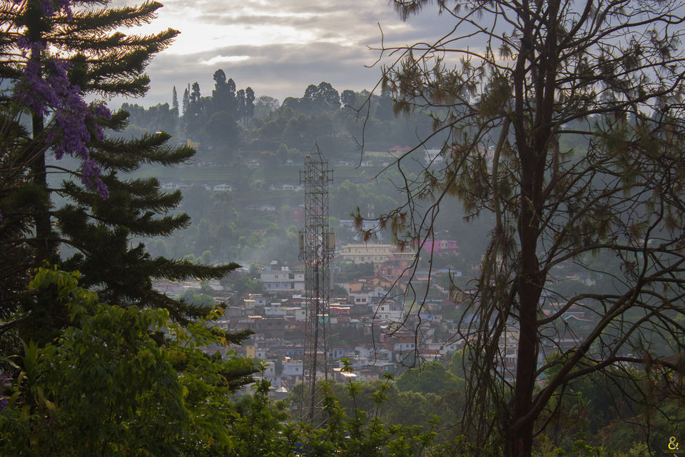 Photo of OOTY - A great getaway for the summer. by Shruti Parthasarathy