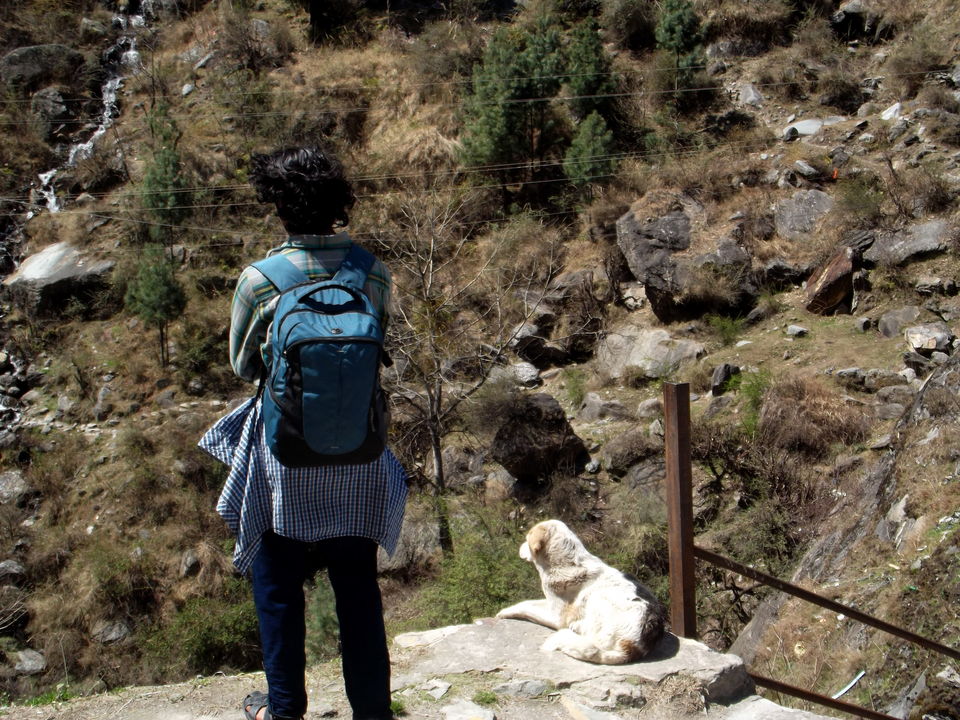 Photo of Malana, Kasol and Tosh, the higher Himachal 14/21 by Harshita