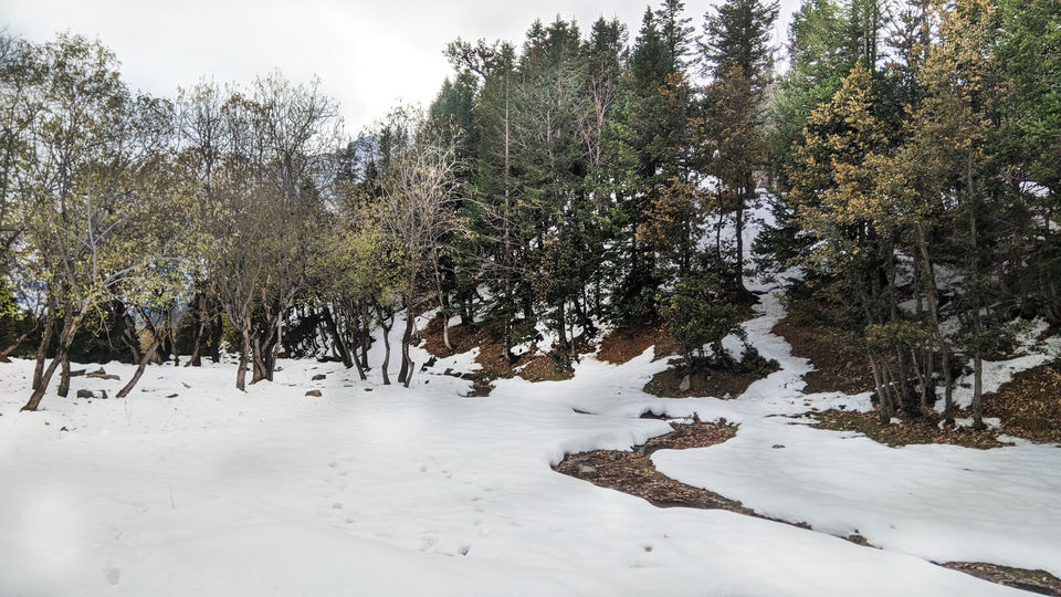 Photo of A Budget Friendly Solo Trip To Manali! by Hemansu Chamaria