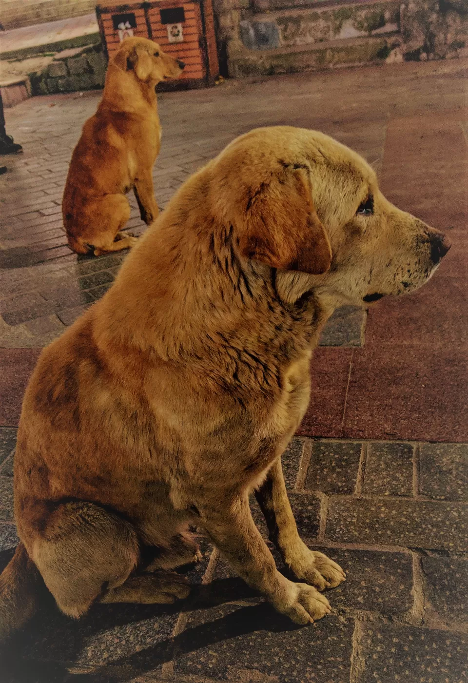 Photo of Mall Road Manali, Siyal, Manali, Himachal Pradesh, India by Hemansu Chamaria