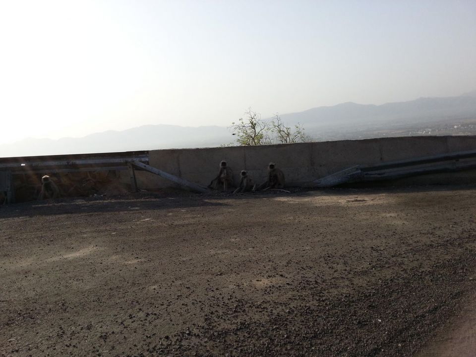 Photo of Mount Abu, an oasis in the desert 9/19 by Sidhant Joshi