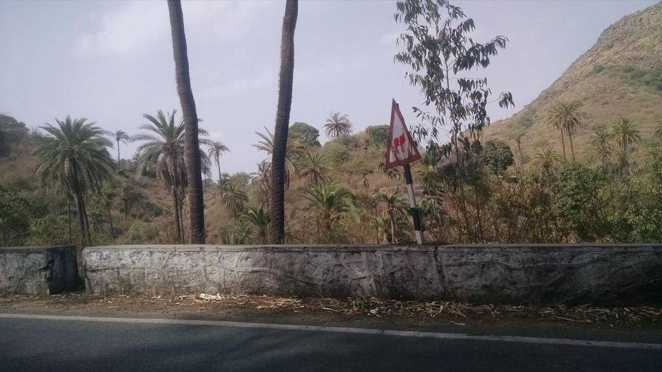 Photo of Mount Abu, an oasis in the desert 11/19 by Sidhant Joshi