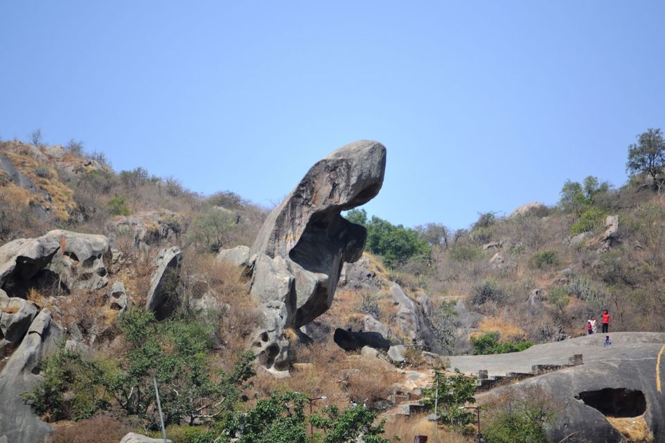 Photo of Mount Abu, an oasis in the desert 15/19 by Sidhant Joshi