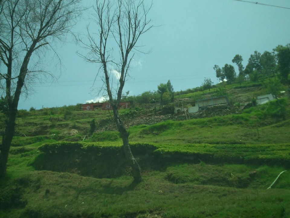 Photo of Escape for a day to Queen of Hills: Ooty by Anu Shobana
