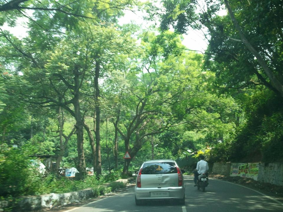 Photo of Escape for a day to Queen of Hills: Ooty by Anu Shobana