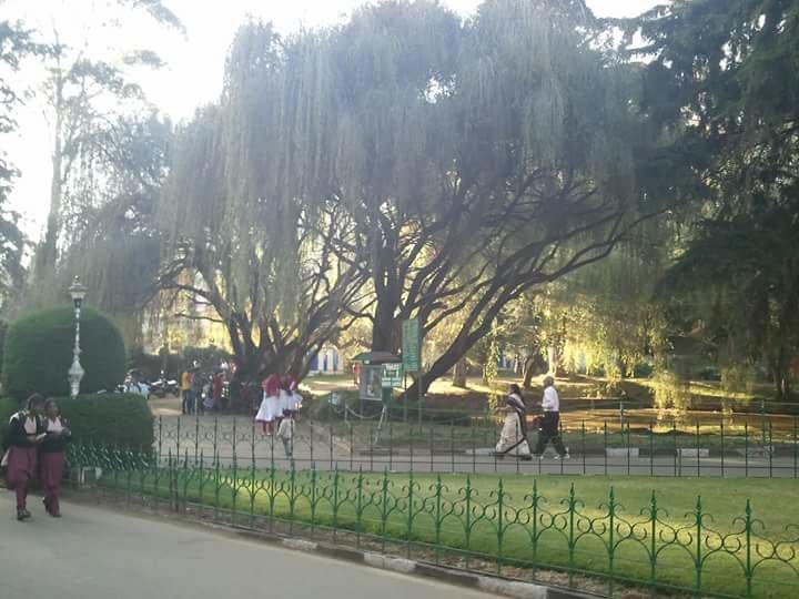 Photo of Escape for a day to Queen of Hills: Ooty by Anu Shobana