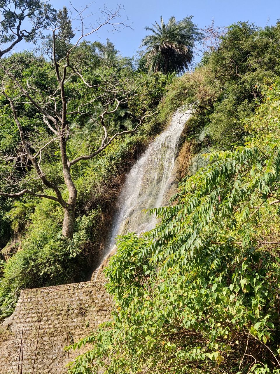 Photo of Dehradun, Uttarakhand, India by Mayank Jain