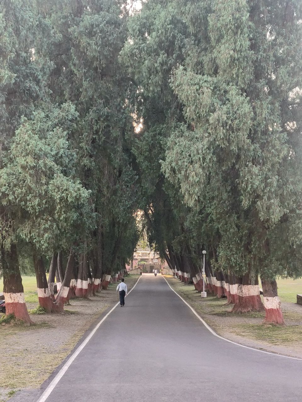Photo of Dehradun, Uttarakhand, India by Mayank Jain