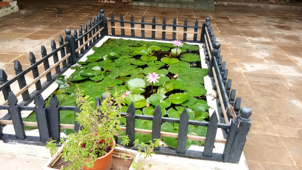 Photo of Adalaj Stepwell, Adalaj, Gujarat, India by Akif malek