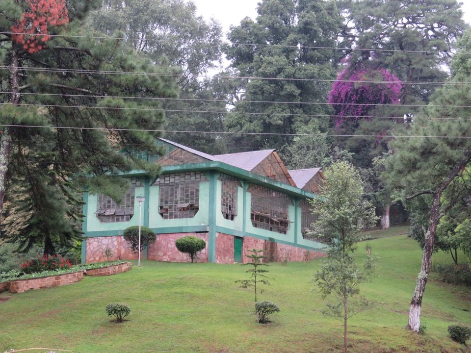 Photo of Ward's Lake, Police Bazar, Shillong, Meghalaya by Jyoti Pandey