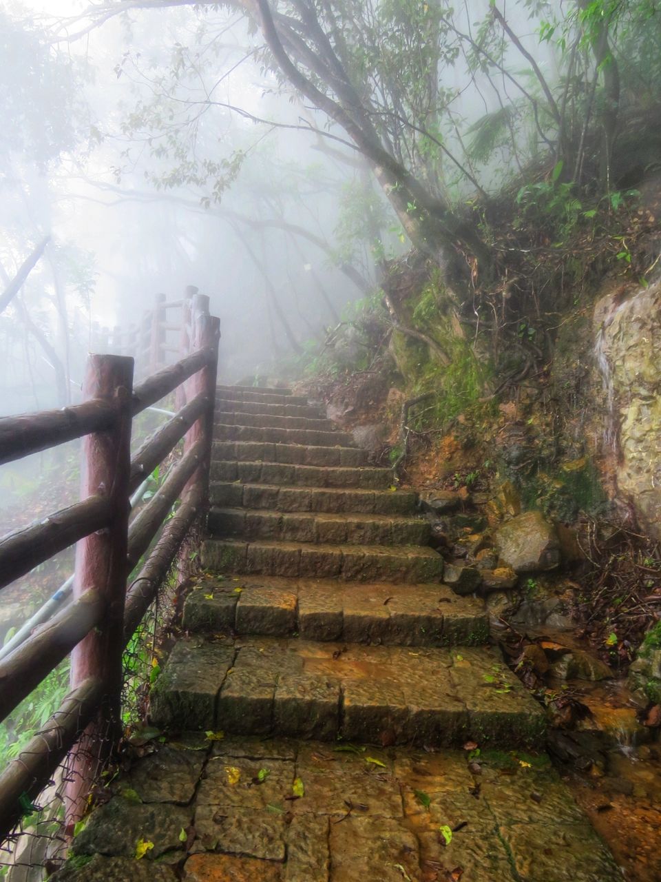 Photo of Arwah Lumshynna Cave, Cherrapunjee, Meghalaya, India by Jyoti Pandey