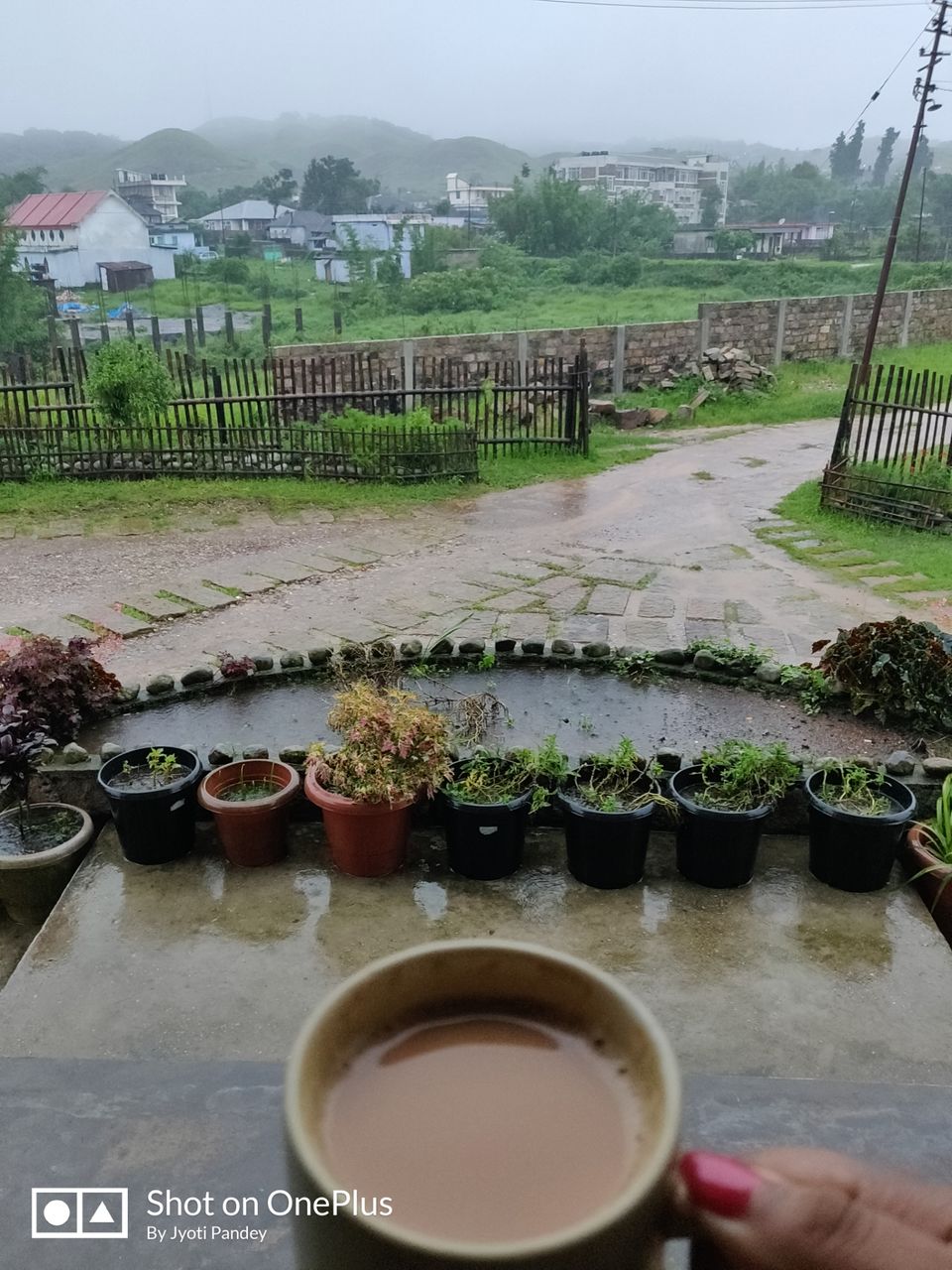 Photo of Mystical Meghalaya by Jyoti Pandey