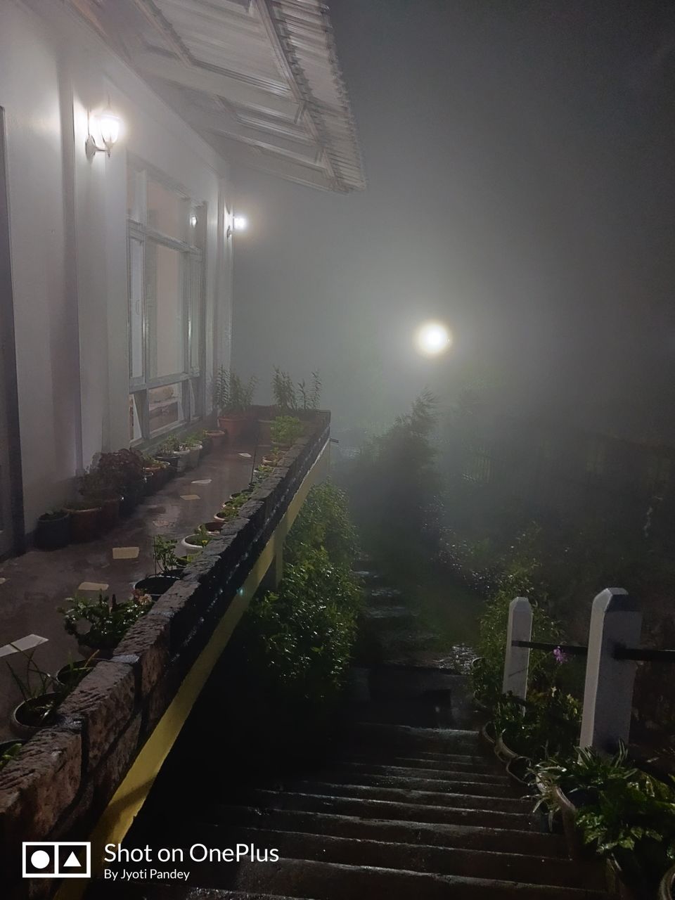 Photo of Mystical Meghalaya by Jyoti Pandey