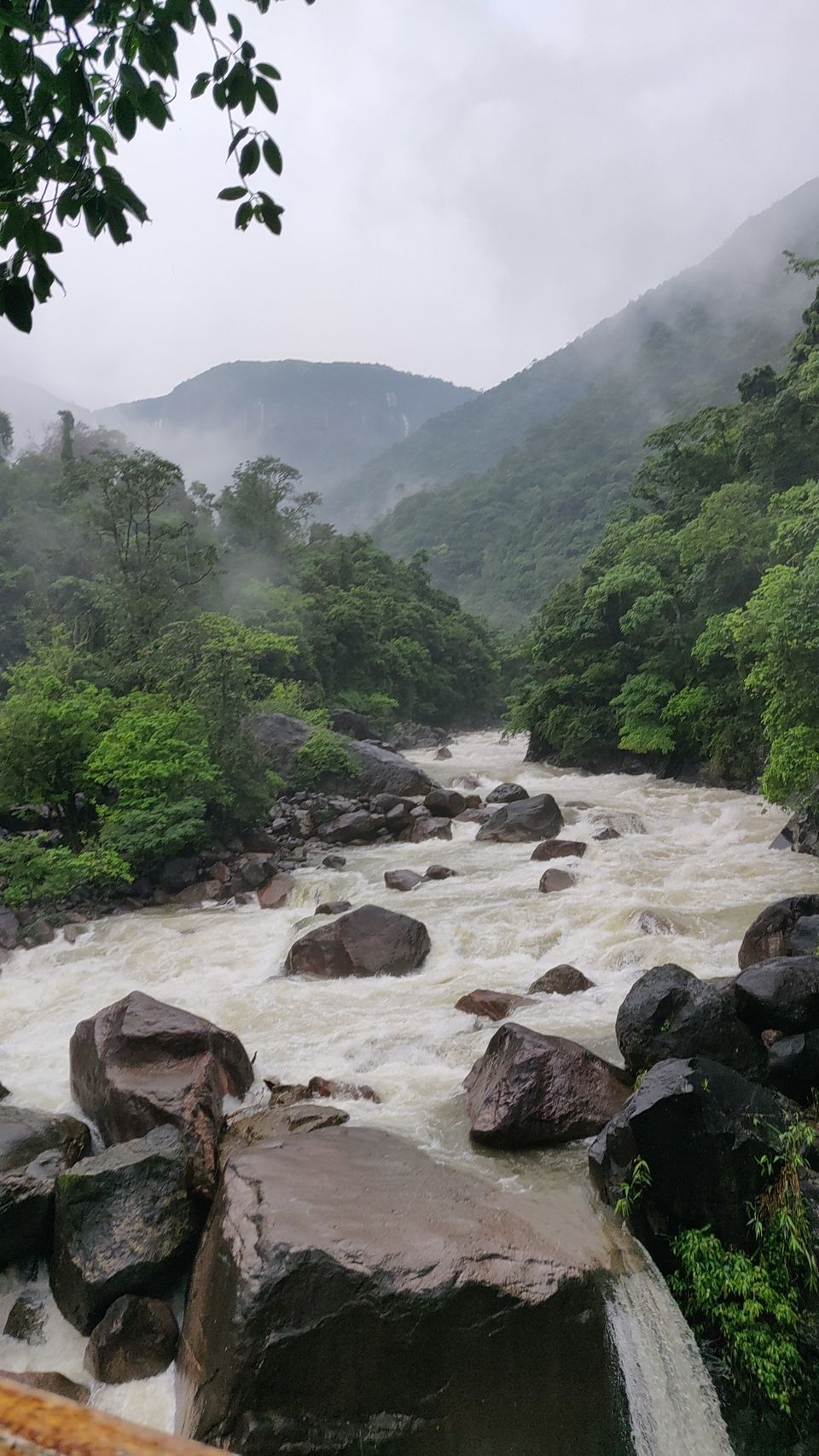 Photo of Mystical Meghalaya by Jyoti Pandey
