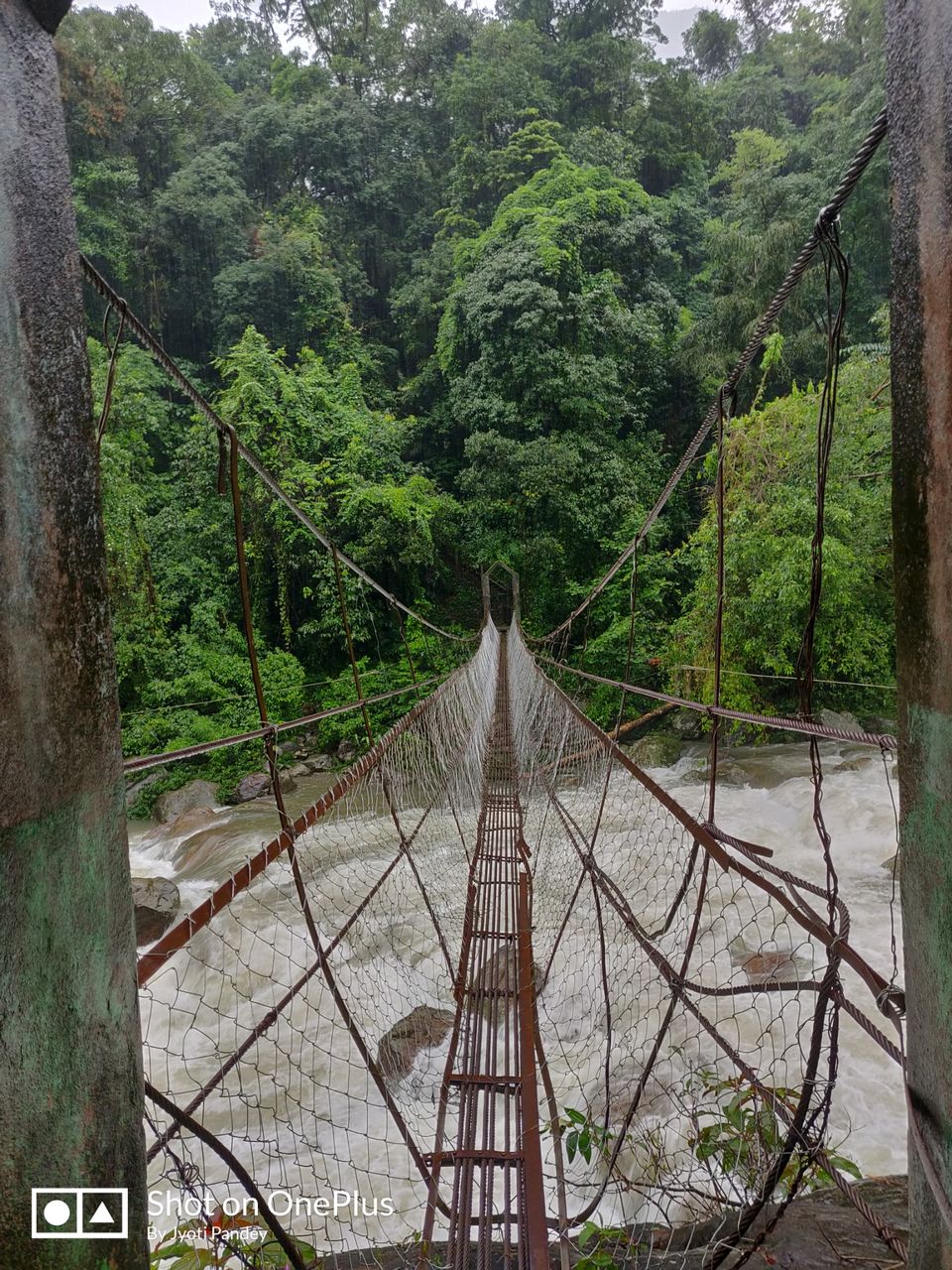 Photo of Mystical Meghalaya by Jyoti Pandey