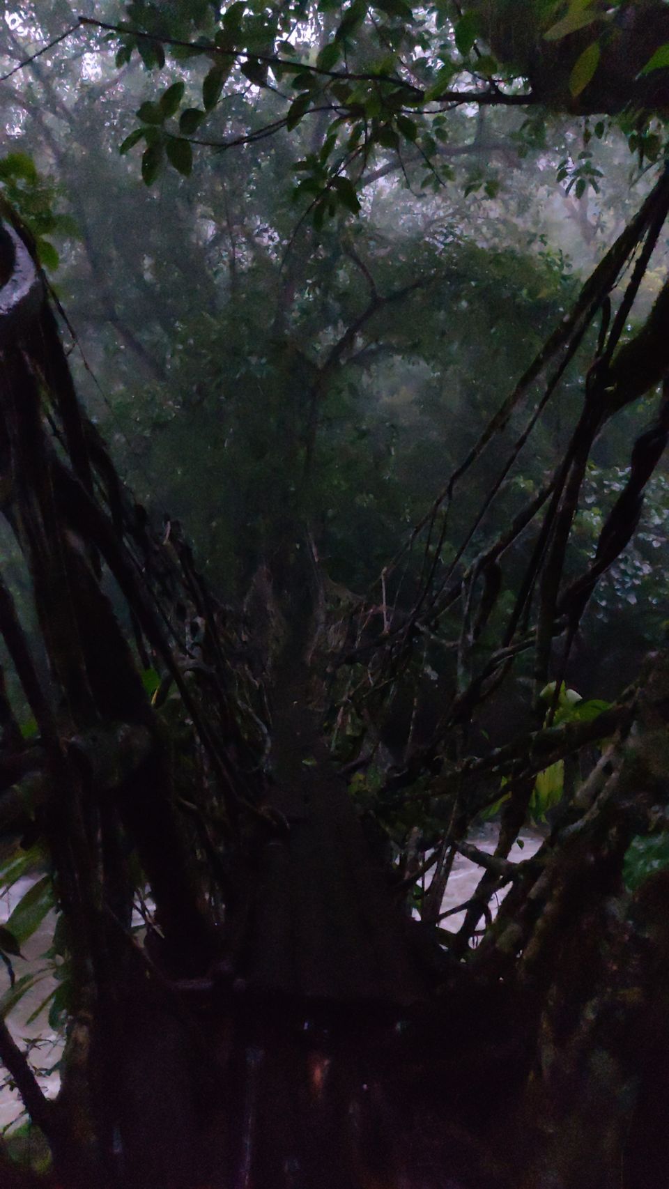 Photo of Mystical Meghalaya by Jyoti Pandey