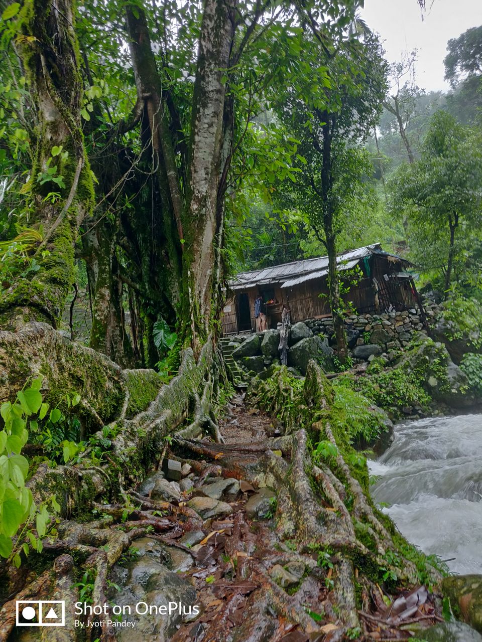Photo of Mystical Meghalaya by Jyoti Pandey