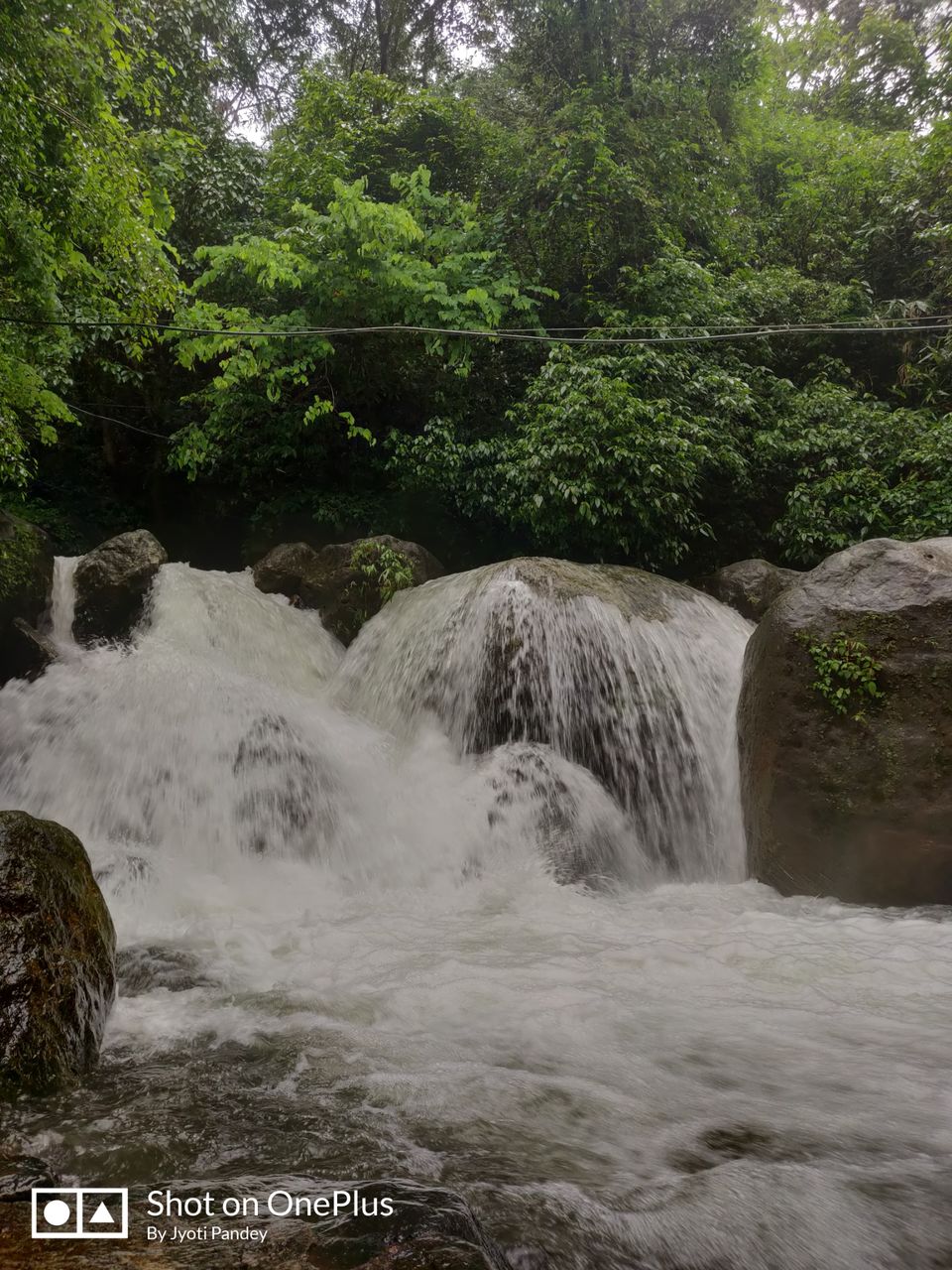 Photo of Mystical Meghalaya by Jyoti Pandey