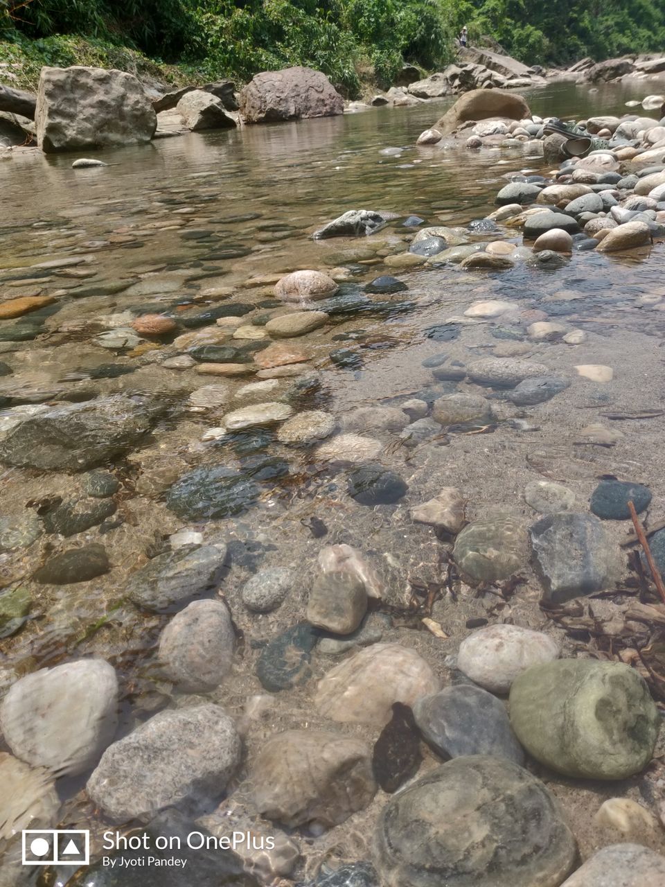 Photo of Dawki River, Meghalaya by Jyoti Pandey