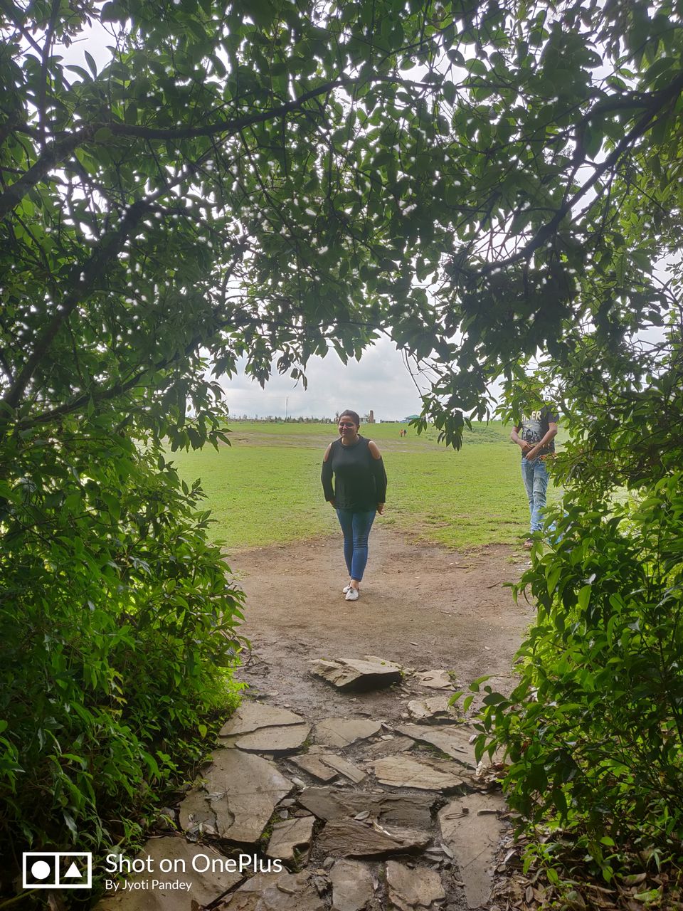 Photo of Mawphlang Sacred Grove, Nongrum, Meghalaya, India by Jyoti Pandey