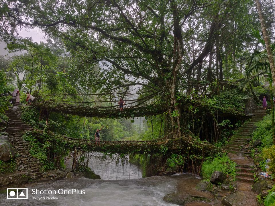 Photo of Mystical Meghalaya by Jyoti Pandey