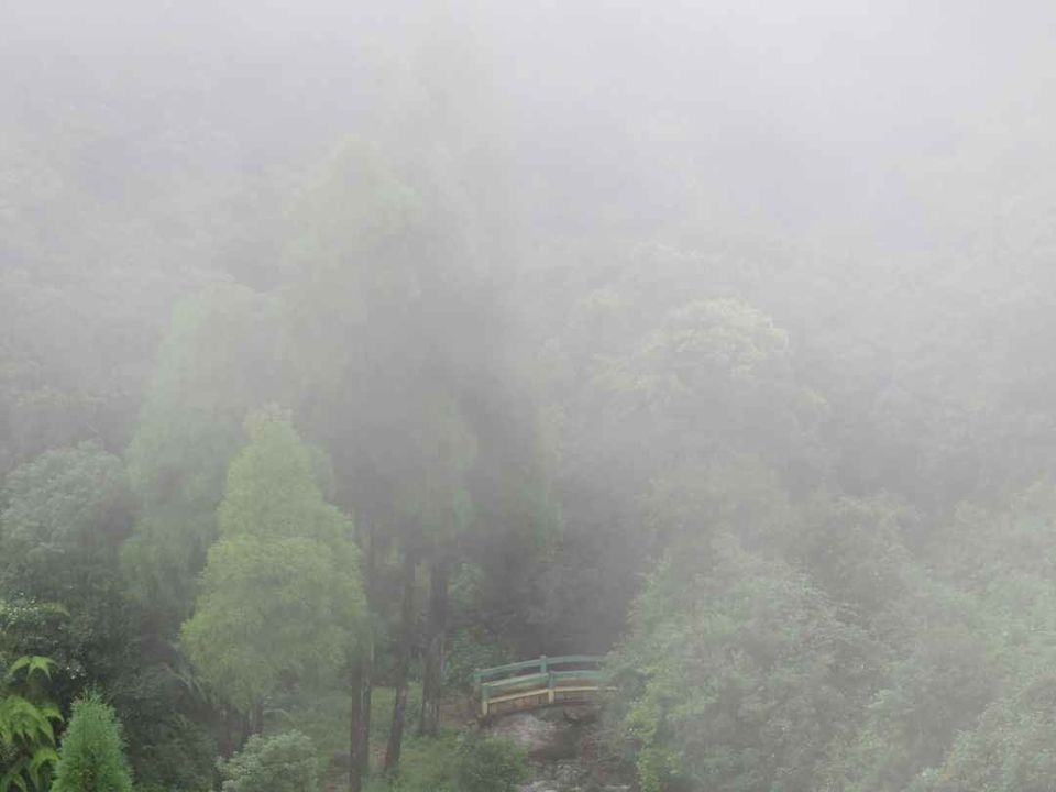 Photo of Mawkdok Dympep Valley View Point, Cherrapunjee, Meghalaya, India by Jyoti Pandey