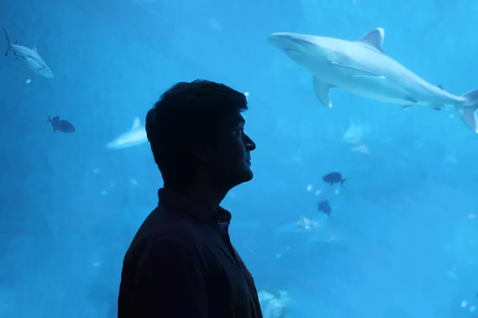 Photo of Sentosa Gateway, S.E.A. Aquarium, Sentosa Island, Singapore by Abhijit Basak