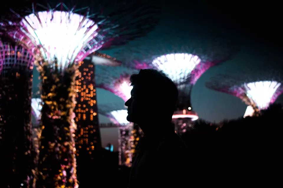 Photo of Marina Gardens Drive, Gardens by the Bay, Singapore by Abhijit Basak