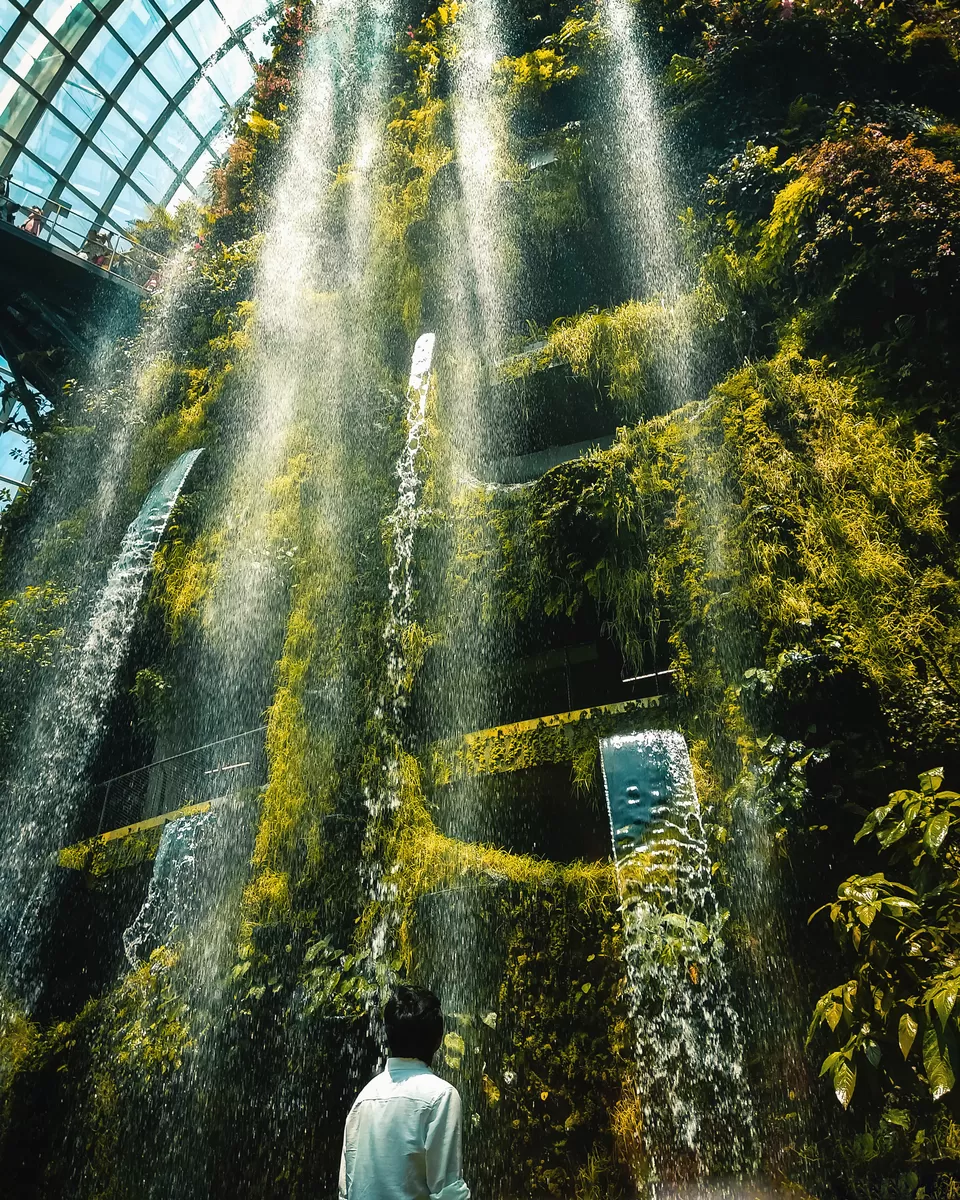 Photo of Marina Gardens Drive, Cloud Forest, Singapore by Abhijit Basak