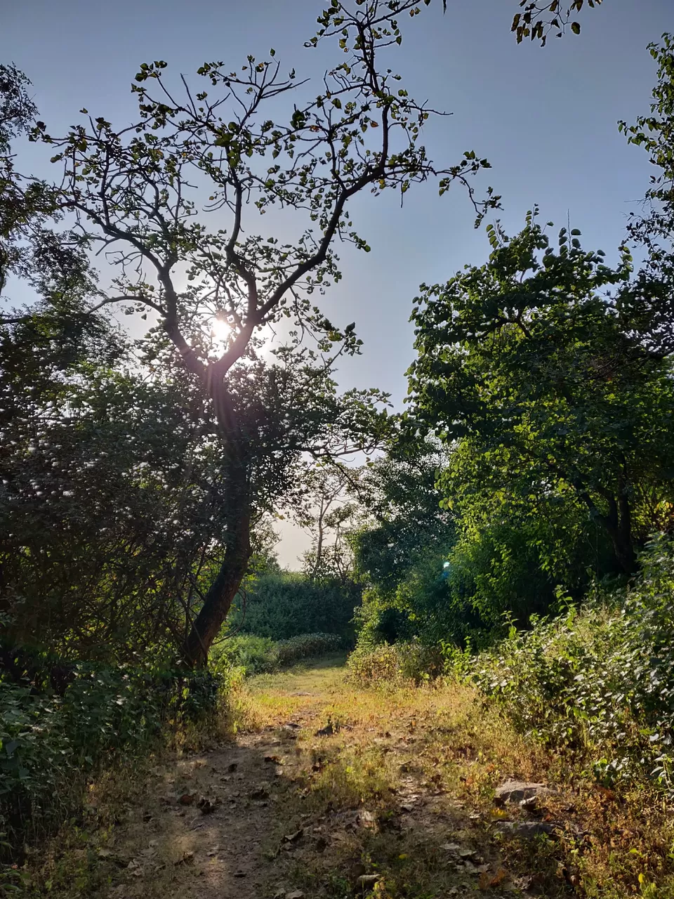 Photo of Mount Abu, Rajasthan, India by Fuelit Ua Way