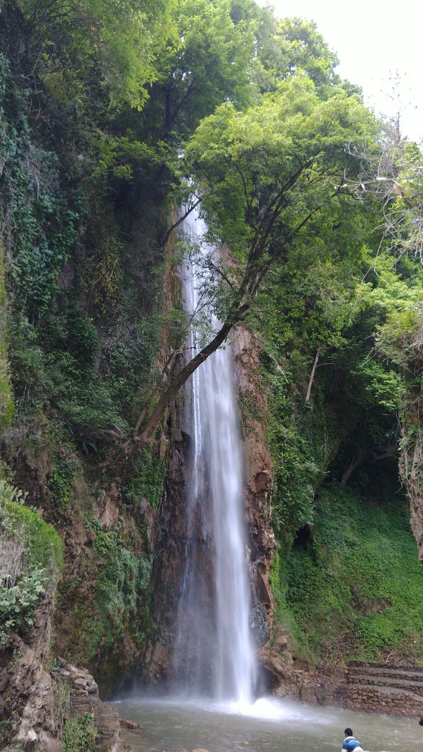 Photo of Chakrata, Uttarakhand, India by Lalita Bisht