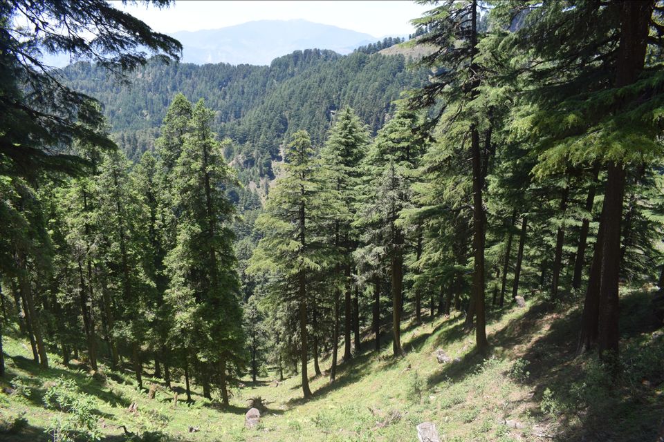 Photo of Budher Caves, Bagani, Uttarakhand, India by Lalita Bisht