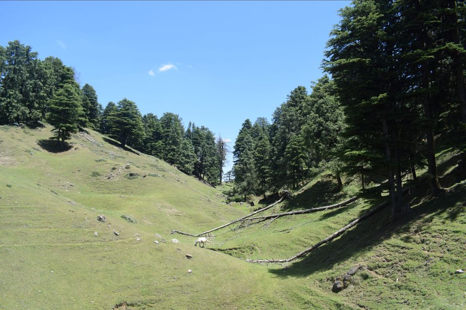 Photo of Budher Caves, Bagani, Uttarakhand, India by Lalita Bisht