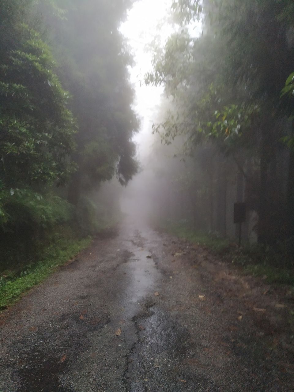 Photo of Gangtok, Sikkim, India by priyam saha